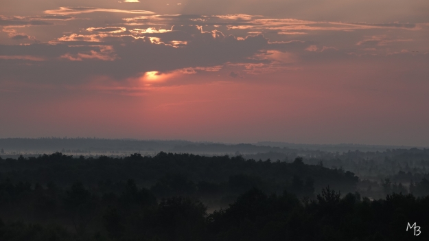 Marian Buurman - zonsopkomst de zeven appelscha - 